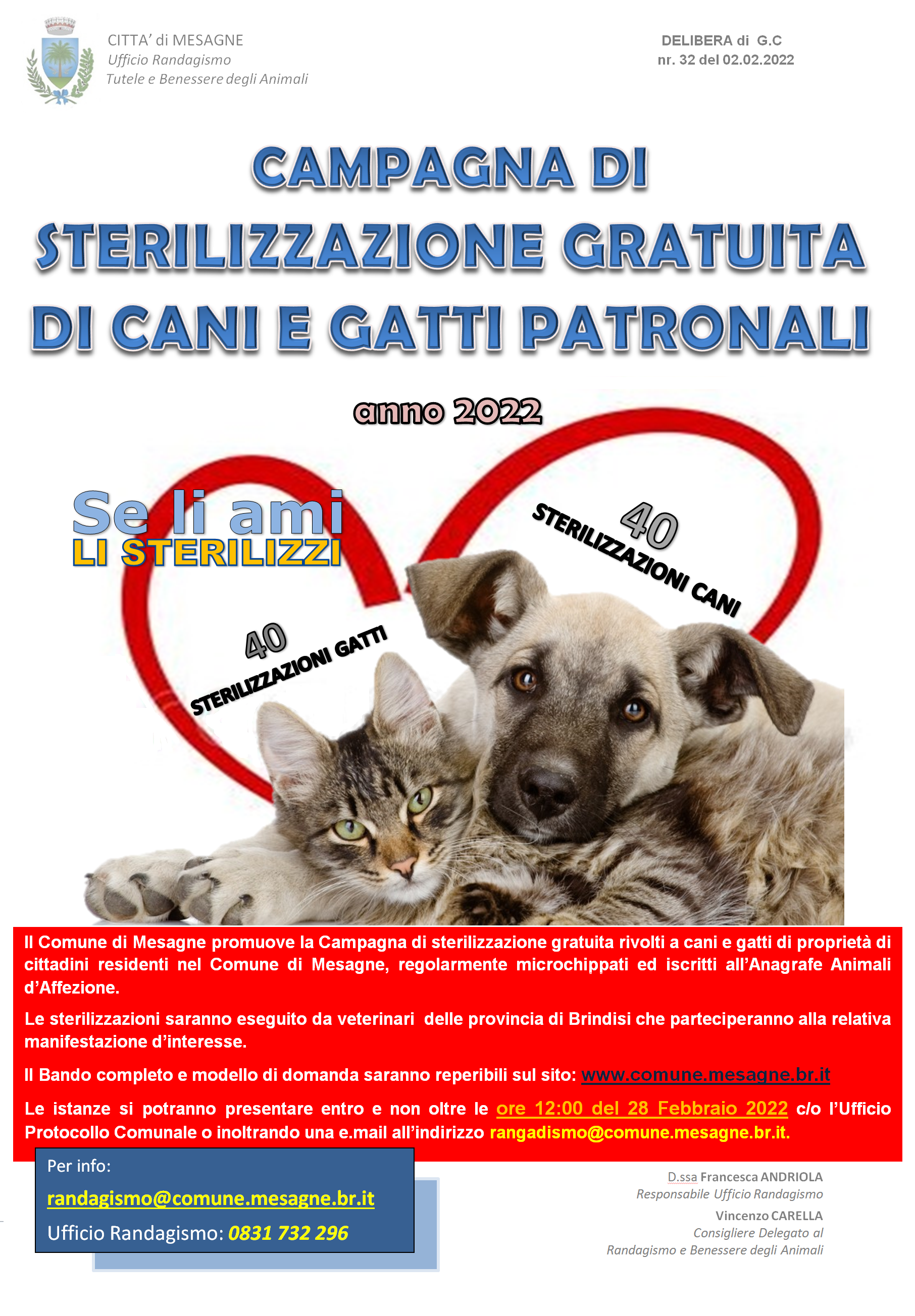 Lotta al randagismo: la città di Mesagne pubblica l’avviso per la sterilizzazione gratuita di cani e gatti