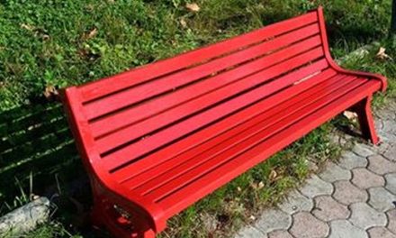 “ Una panchina rossa dedicata a Norma Cossetto”