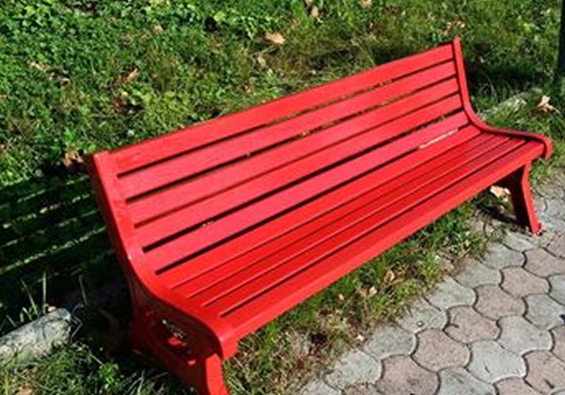 “ Una panchina rossa dedicata a Norma Cossetto”