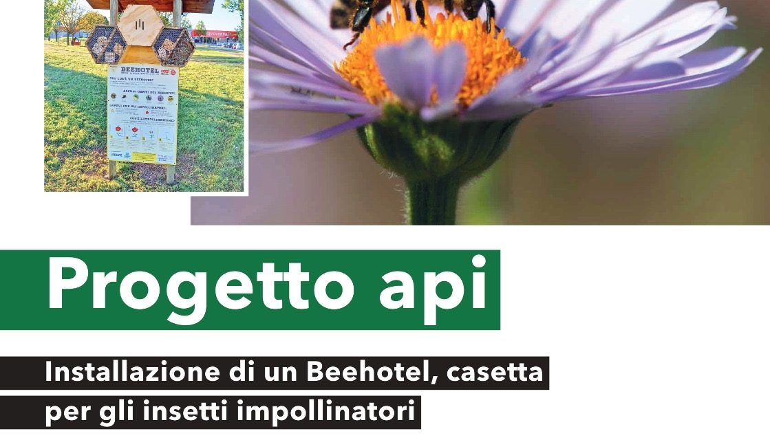 Al Cillarese installazione di un Beehotel: una casetta per gli insetti impollinatori