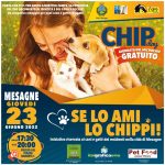 Microchip gratuito per cani e gatti, a Mesagne in Piazza Gioberti il 23 giugno