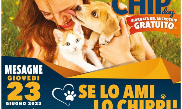 Microchip gratuito per cani e gatti, a Mesagne in Piazza Gioberti il 23 giugno