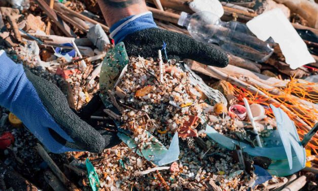 Elevata presenza di granuli di plastica sulle spiagge vicino al Petrolchimico. Dopo il report di GreenPeace l’esposto in Procura
