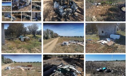 “Interventi urgenti per rimozione di rifiuti anche pericolosi sull’Appia Antica”