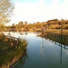 Festival dell’Appia Antica 2022, domenica visita al Cillarese
