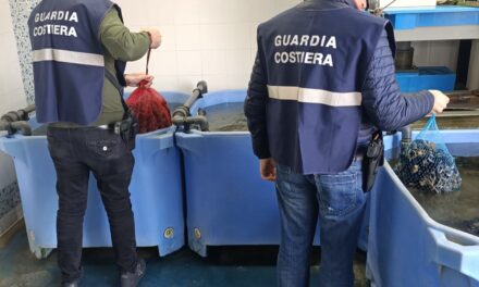 Guardia Costiera, sequestro di sette tonnellate di prodotto ittico