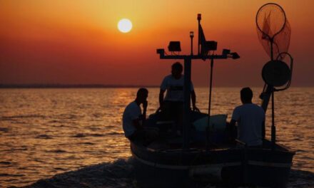 Pesce sempre più protetto a Torre Guaceto, i pescatori si fermano e un abusivo viene condannato