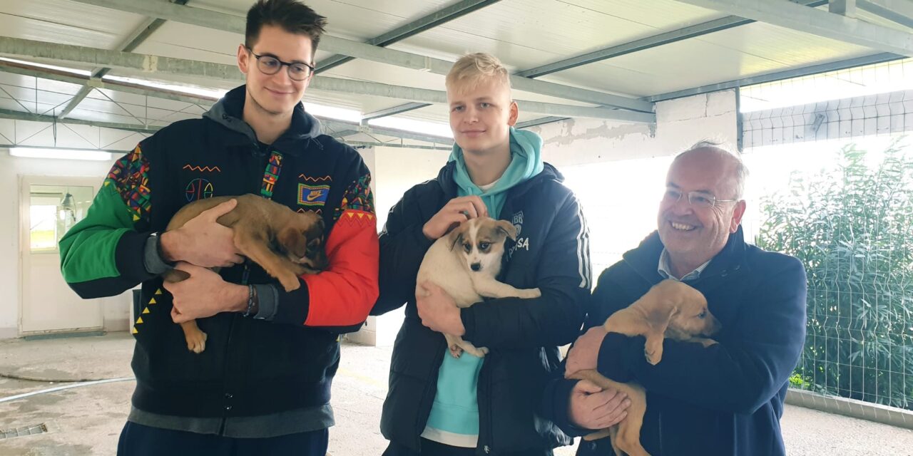 I giocatori della Happy Casa Brindisi promuovono l’adozione degli animali del canile di Brindisi
