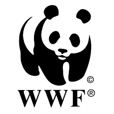 Dieci quesiti ambientali da porre ai candidati sindaci: firma anche WWF Brindisi