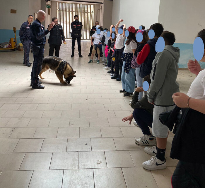Fasano, gli studenti della Scuola Primaria del 1° Circolo didattico “Collodi” visitano il Comando Compagnia Carabinieri
