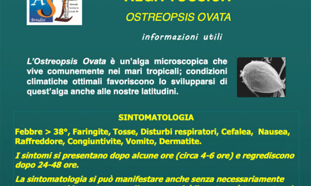 Alga Tossica rilevata da Arpa Puglia nelle acque del litorale di Forcatella e Torre Canne. Si tratta “Ostreopsis ovata” e provoca da febbre a disturbi respiratori e altro, attenzione