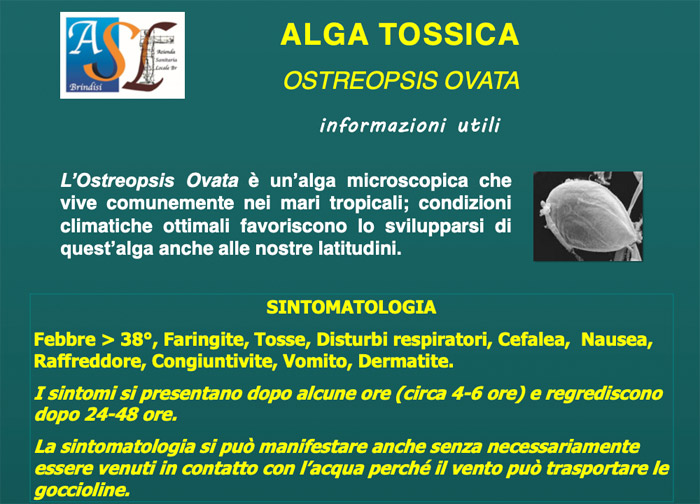 Alga Tossica rilevata da Arpa Puglia nelle acque del litorale di Forcatella e Torre Canne. Si tratta “Ostreopsis ovata” e provoca da febbre a disturbi respiratori e altro, attenzione