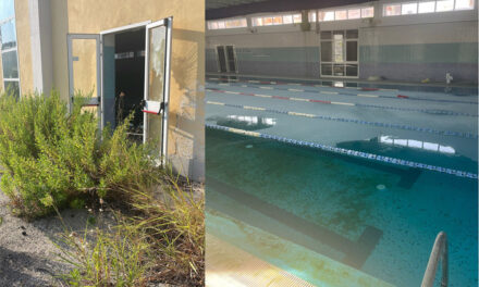 Vandalismo all’impianto Marimisti, Pd Brindisi: “Sulla piscina comunale interessi loschi, sostegno al sindaco. Si coinvolgano le migliori realtà”