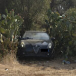 Auto rubaste nascoste tra vegetazione e piante di fichi d’India, 8 vetture recuperate dalla Polizia