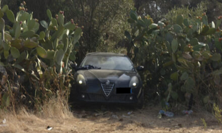 Auto rubaste nascoste tra vegetazione e piante di fichi d’India, 8 vetture recuperate dalla Polizia