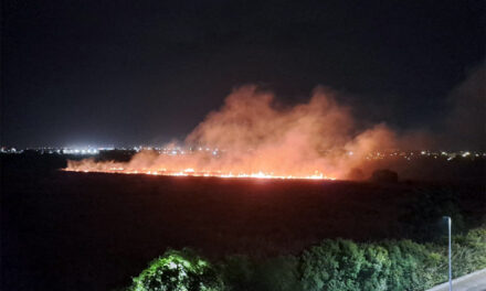 Incendio di sterpaglie in zona Torretta nel rione Paradiso, decine di case invase dal fumo