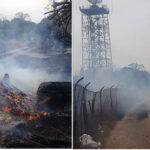 Litoranea Nord di Brindisi a fuoco, bruciati 10mila metri quadrati di vegetazione