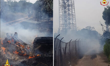 Litoranea Nord di Brindisi a fuoco, bruciati 10mila metri quadrati di vegetazione
