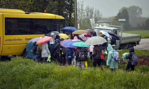 Brindisi, il comune conferma il trasporto scolastico anche per gli studenti delle zone rurali, ecco come presentare la domanda