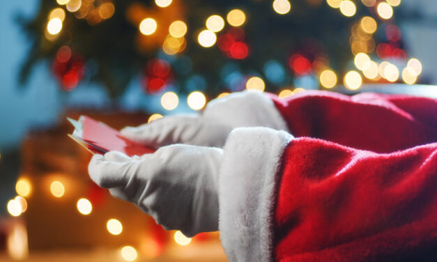 Acquisti per le feste appello congiunto di Confesercenti e Confcommercio: “Per un Natale autentico scegliamo i nostri negozi locali”