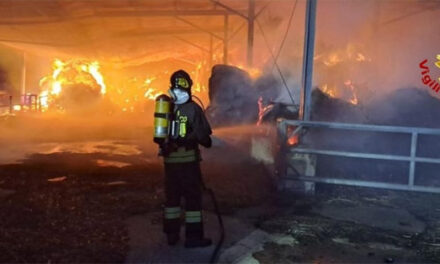 Azienda agricola sulla provinciale Latiano Oria in fiamme, a fuoco numerose balle di fieno