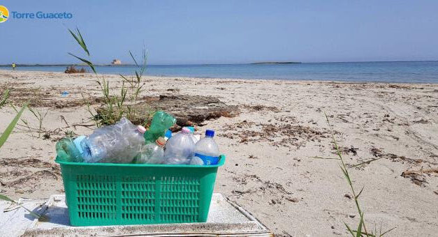 Ambiente, “Spazziamo via l’inverno”, torna la pulizia spiagge di comunità di Torre Guaceto