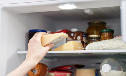 Nasconde l’Hascisc in frigo nella busta del formaggio, una giovane brindisina arrestata dalla Polizia
