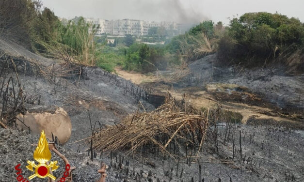 Incendio nei pressi del Parco “Di Giulio” Epifani (Casa dei moderati): “Urge riflessione seri su parchi e aree verdi della città”