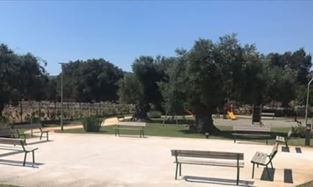 Villetta Don Tonino Bello, il Comune di Fasano lancia l’avviso per la gestione condivisa del bene comune