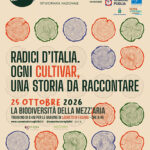 Camminata tra gli Olivi: a Laureto di Fasano torna l’appuntamento tra natura, storia e cultura dell’olio