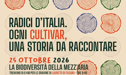 Camminata tra gli Olivi: a Laureto di Fasano torna l’appuntamento tra natura, storia e cultura dell’olio