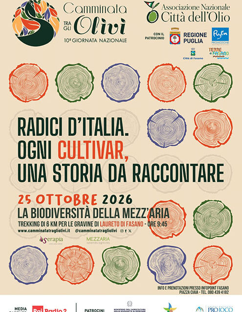 Camminata tra gli Olivi: a Laureto di Fasano torna l’appuntamento tra natura, storia e cultura dell’olio
